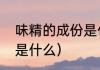 味精的成份是什么（味精的主要成分是什么）