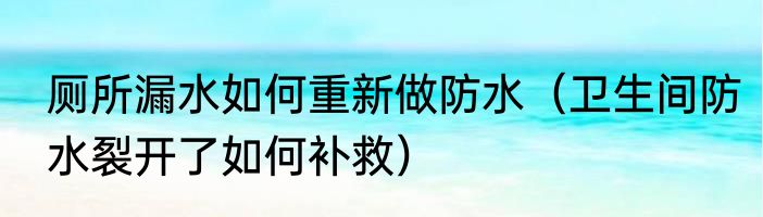 厕所漏水如何重新做防水（卫生间防水裂开了如何补救）