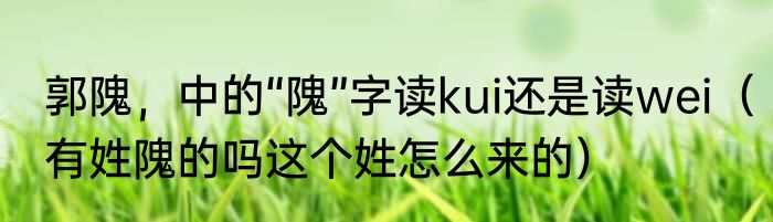 郭隗，中的“隗”字读kui还是读wei（有姓隗的吗这个姓怎么来的）
