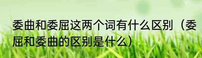 委曲和委屈这两个词有什么区别（委屈和委曲的区别是什么）