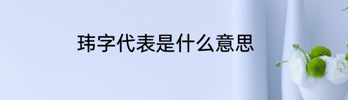 玮字代表是什么意思