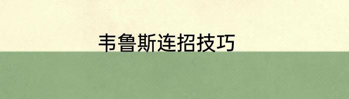 韦鲁斯连招技巧