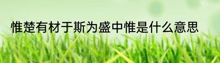 惟楚有材于斯为盛中惟是什么意思