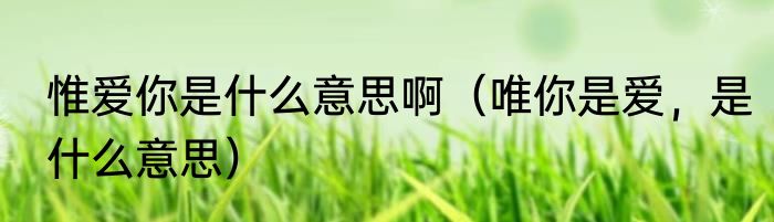 惟爱你是什么意思啊（唯你是爱，是什么意思）