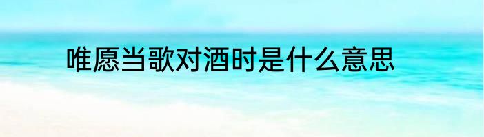 唯愿当歌对酒时是什么意思