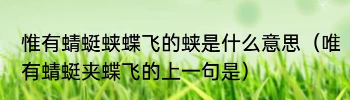 惟有蜻蜓蛱蝶飞的蛱是什么意思（唯有蜻蜓夹蝶飞的上一句是）