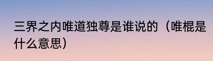 三界之内唯道独尊是谁说的（唯棍是什么意思）