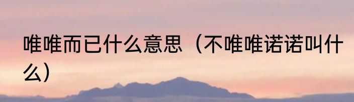 唯唯而已什么意思（不唯唯诺诺叫什么）