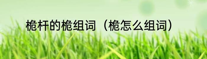 桅杆的桅组词（桅怎么组词）