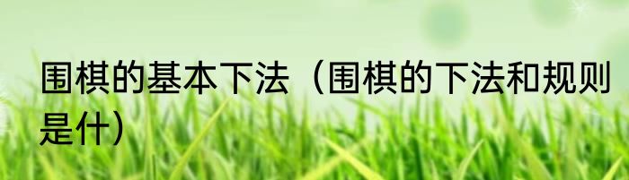 围棋的基本下法（围棋的下法和规则是什）