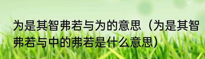 为是其智弗若与为的意思（为是其智弗若与中的弗若是什么意思）