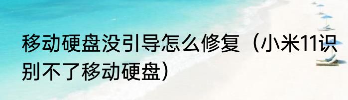 移动硬盘没引导怎么修复（小米11识别不了移动硬盘）