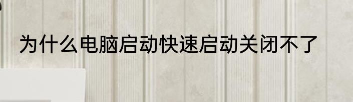 为什么电脑启动快速启动关闭不了