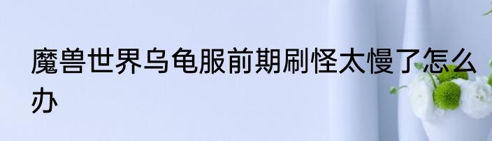 魔兽世界乌龟服前期刷怪太慢了怎么办