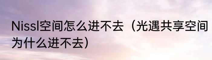 Nissl空间怎么进不去（光遇共享空间为什么进不去）