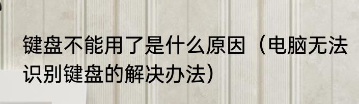 键盘不能用了是什么原因（电脑无法识别键盘的解决办法）