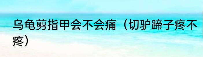 乌龟剪指甲会不会痛（切驴蹄子疼不疼）