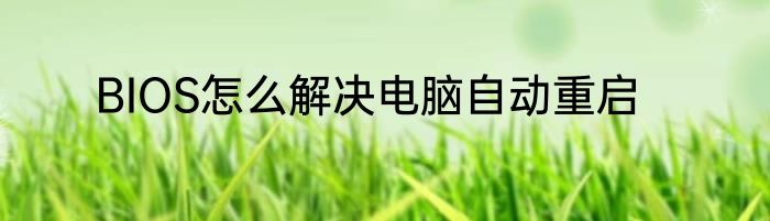 BIOS怎么解决电脑自动重启