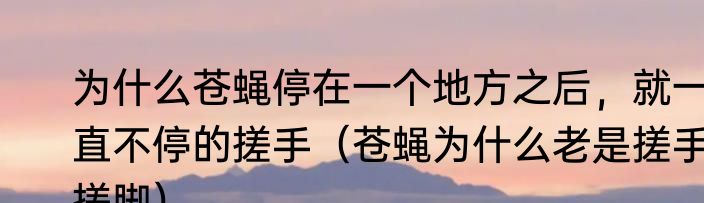 为什么苍蝇停在一个地方之后，就一直不停的搓手（苍蝇为什么老是搓手搓脚）