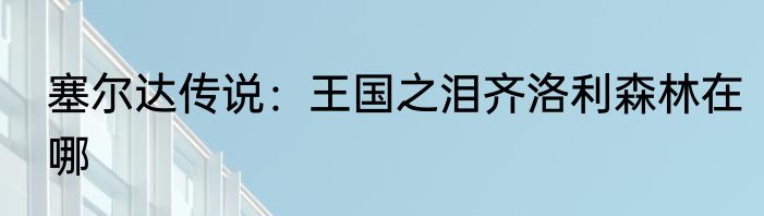 塞尔达传说：王国之泪齐洛利森林在哪