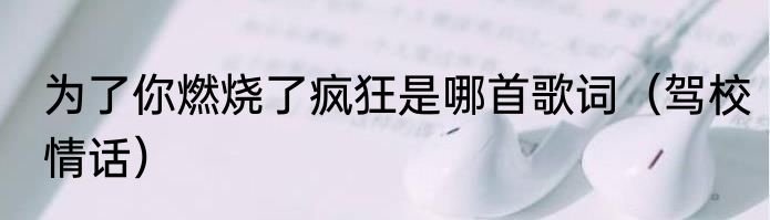 为了你燃烧了疯狂是哪首歌词（驾校情话）