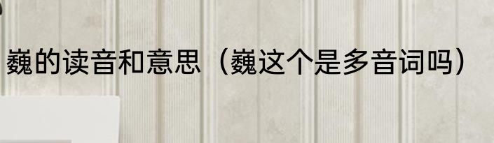 巍的读音和意思（巍这个是多音词吗）