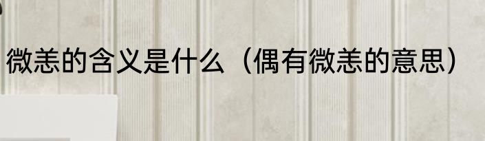 微恙的含义是什么（偶有微恙的意思）