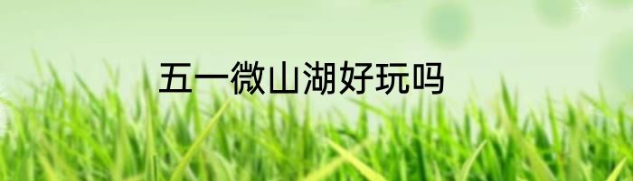 五一微山湖好玩吗