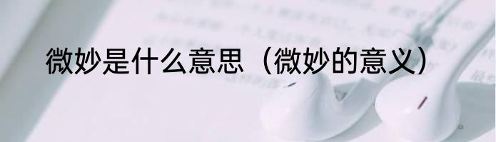 微妙是什么意思（微妙的意义）