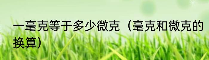 一毫克等于多少微克（毫克和微克的换算）