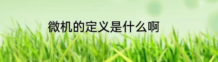 微机的定义是什么啊