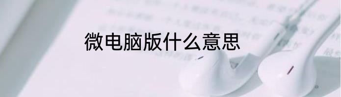微电脑版什么意思