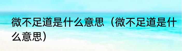 微不足道是什么意思（微不足道是什么意思）