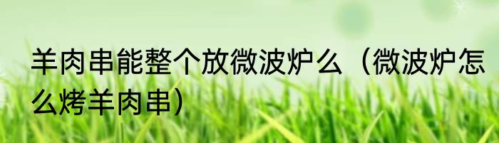 羊肉串能整个放微波炉么（微波炉怎么烤羊肉串）