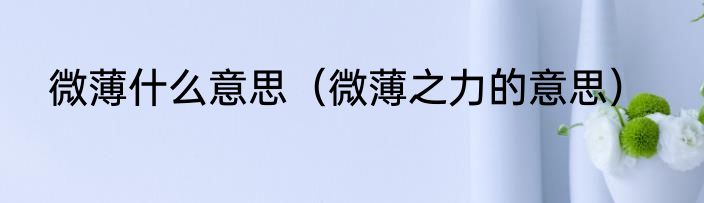 微薄什么意思（微薄之力的意思）