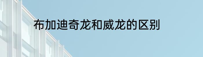布加迪奇龙和威龙的区别