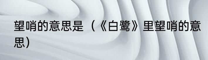 望哨的意思是（《白鹭》里望哨的意思）