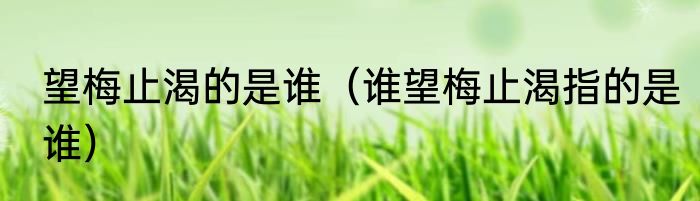 望梅止渴的是谁（谁望梅止渴指的是谁）