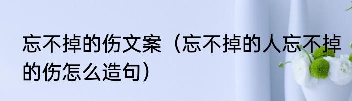 忘不掉的伤文案（忘不掉的人忘不掉的伤怎么造句）