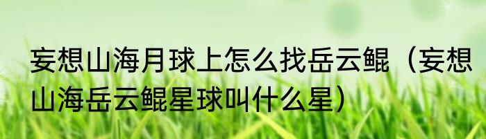 妄想山海月球上怎么找岳云鲲（妄想山海岳云鲲星球叫什么星）