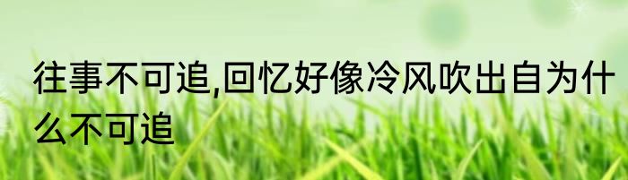 往事不可追,回忆好像冷风吹出自为什么不可追