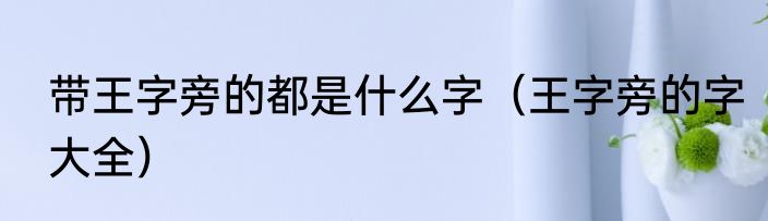 带王字旁的都是什么字（王字旁的字大全）