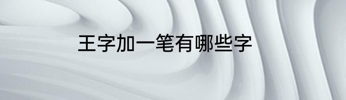 王字加一笔有哪些字