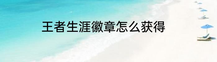 王者生涯徽章怎么获得