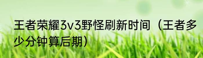 王者荣耀3v3野怪刷新时间（王者多少分钟算后期）
