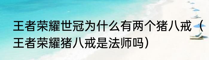 王者荣耀世冠为什么有两个猪八戒（王者荣耀猪八戒是法师吗）