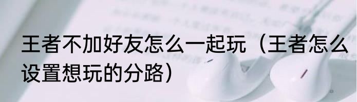 王者不加好友怎么一起玩（王者怎么设置想玩的分路）