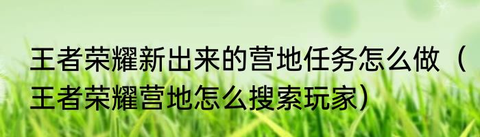 王者荣耀新出来的营地任务怎么做（王者荣耀营地怎么搜索玩家）