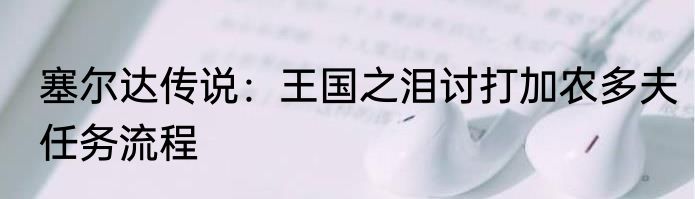 塞尔达传说：王国之泪讨打加农多夫任务流程