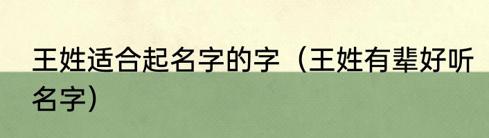 王姓适合起名字的字（王姓有辈好听名字）